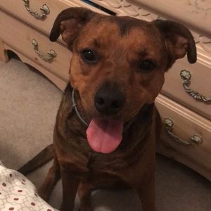 Meet your Posher, Kelly